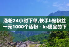 涨粉24小时下单,快手b站粉丝一元1000个活粉 - ks便宜的下单平台 - qq业务网站免费-子潇网络