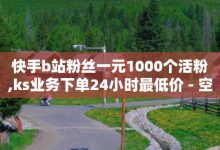 视频号自助平台业务下单真人,快手粉丝一元1000个活粉-qq说说业务网-qq卡无限超级会员-