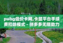 抖音粉丝不掉粉在线下单,69卡盟全网最低价-拼多多1元10刀助力平台-拼多多新电商开创者官方-子潇网络