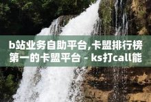 ks免费业务平台，ks业务自助下单软件最低价-