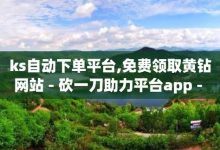 ks业务自助下单，ks业务自助下单软件最低价-