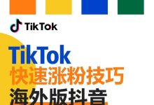 tiktok爆粉秘密，tiktok增粉-