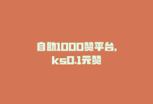 自助1000赞平台，ks0.1元赞-