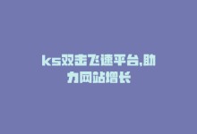 ks双击飞速平台，助力网站增长-