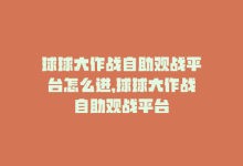 球球大作战自助观战平台怎么进，球球大作战自助观战平台-