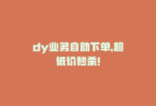 dy业务自助下单，超低价秒杀！-