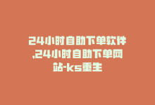 24小时自助下单软件，24小时自助下单网站-ks重生-