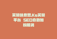 买赞啥意思，Ks买赞平台  SEO自助加粉服务-