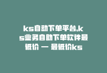 ks自动下单平台，ks业务自助下单软件最低价 — 最低价ks自助下单软件-