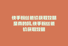 快手粉丝低价获取攻略是真的吗，快手粉丝低价获取攻略-