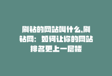 刷钻的网站叫什么，刷钻网：如何让你的网站排名更上一层楼-