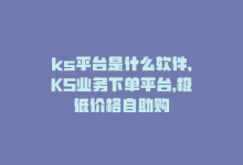 ks平台是什么软件，KS业务下单平台，极低价格自助购-