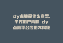 dy点赞是什么意思，千万用户青睐  dy点赞平台应用大揭秘-