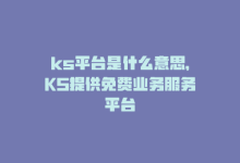 ks平台是什么意思，KS提供免费业务服务平台-