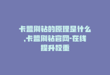 卡盟刷钻的原理是什么，卡盟刷钻官网-在线提升权重-