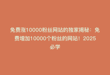 免费涨10000粉丝网站的独家揭秘：免费增加10000个粉丝的网站！2025必学-