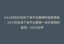 24小时低价在线下单平台雷神的独家揭秘：24小时在线下单平台雷神—低价购物的首选！2025必学-