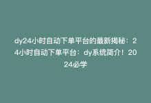 dy24小时自动下单平台的最新揭秘：24小时自动下单平台：dy系统简介！2024必学-