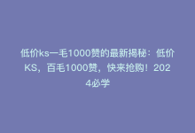 低价ks一毛1000赞的最新揭秘：低价KS，百毛1000赞，快来抢购！2024必学-