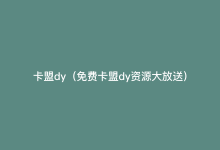 卡盟dy（免费卡盟dy资源大放送）-