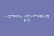 ks低价下单平台（低价KS下单平台优惠折扣）-