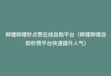 哔哩哔哩秒点赞在线自助平台（哔哩哔哩自助秒赞平台快速提升人气）-