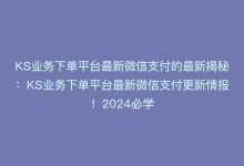 KS业务下单平台最新微信支付的最新揭秘：KS业务下单平台最新微信支付更新情报！2024必学-