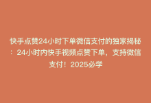 快手点赞24小时下单微信支付的独家揭秘：24小时内快手视频点赞下单，支持微信支付！2025必学-