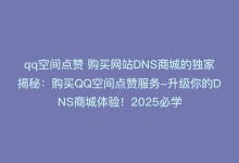 qq空间点赞 购买网站DNS商城的独家揭秘：购买QQ空间点赞服务-升级你的DNS商城体验！2025必学-