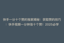 快手一分十个赞的独家揭秘：获取赞的技巧：快手视频一分钟涨十个赞！2025必学-