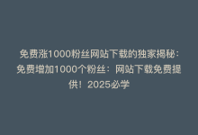 免费涨1000粉丝网站下载的独家揭秘：免费增加1000个粉丝：网站下载免费提供！2025必学-