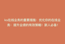 ks在线业务的重要措施：优化你的在线业务：提升业绩的有效策略！新人必备！-