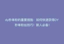 dy秒单粉的重要措施：如何快速获得DY秒单粉丝技巧！新人必备！-