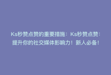 Ks秒赞点赞的重要措施：Ks秒赞点赞：提升你的社交媒体影响力！新人必备！-