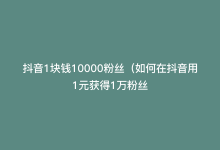 抖音1块钱10000粉丝（如何在抖音用1元获得1万粉丝-