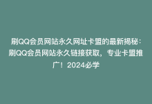 刷QQ会员网站永久网址卡盟的最新揭秘：刷QQ会员网站永久链接获取，专业卡盟推广！2024必学-