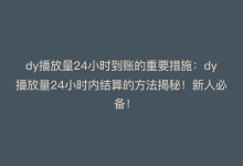 dy播放量24小时到账的重要措施：dy播放量24小时内结算的方法揭秘！新人必备！-