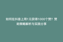 如何在抖音上用1元获得1000个赞？赞助策略解析与实践分享-