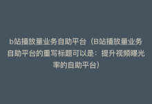 b站播放量业务自助平台（B站播放量业务自助平台的重写标题可以是：提升视频曝光率的自助平台）-