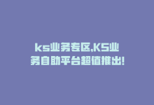 ks业务专区，KS业务自助平台超值推出！-