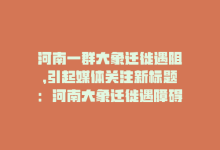 河南一群大象迁徙遇阻，引起媒体关注新标题：河南大象迁徙遇障碍-