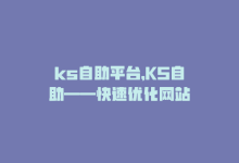 ks自助平台，KS自助——快速优化网站-