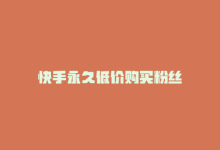 快手永久低价购买粉丝-