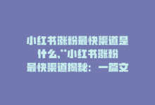 小红书涨粉最快渠道是什么,**小红书涨粉最快渠道揭秘：一篇文章带你玩转粉丝增长策略**!-