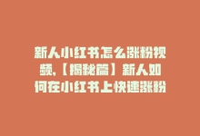 新人小红书怎么涨粉视频,【揭秘篇】新人如何在小红书上快速涨粉？一篇文章带你玩转视频涨粉秘籍！!-