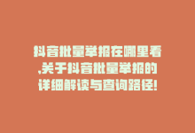 抖音批量举报在哪里看,关于抖音批量举报的详细解读与查询路径!-