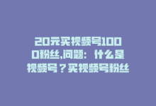 20元买视频号1000粉丝,问题：什么是视频号？买视频号粉丝对我有什么用处？另外，我只用不到二十元的预算可以买多少视频号粉丝？有没有其他购买建议？!-