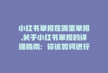 小红书举报在哪里举报,关于小红书举报的详细指南：你该如何进行举报？!-