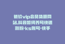 低价vip会员货源网站,抖音如何养号快速涨粉-ks账号-快手一分钱一万个播放工具-