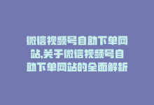 微信视频号自助下单网站,关于微信视频号自助下单网站的全面解析!-